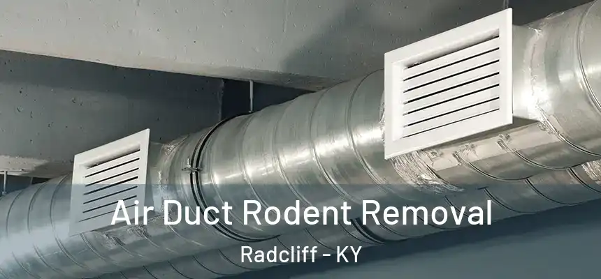  Air Duct Rodent Removal Radcliff - KY