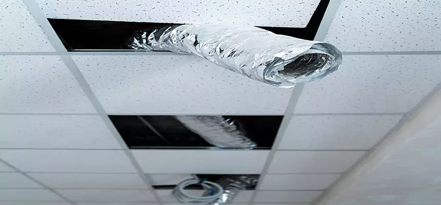 Our Air Duct Pet Hair Removal Services in Radcliff, KY