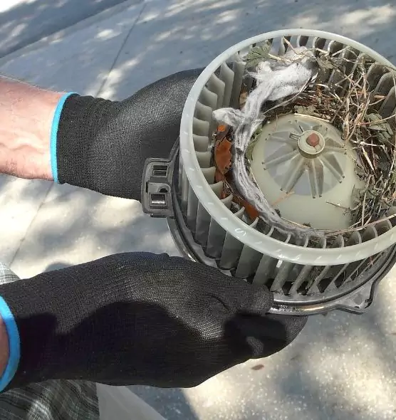 About Air Duct Rat Removal in Radcliff, KY