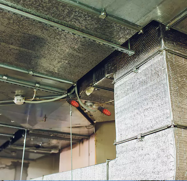 Why Homeowners & Businesses Trust Us Radcliff, KY?