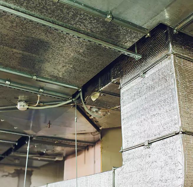 Why Homeowners & Businesses Trust Us in Radcliff, KY?